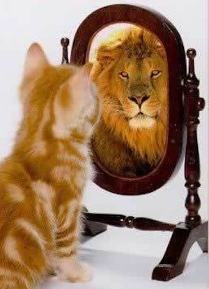 Cat looks at self in mirror, and using judgment based on self-confidence, sees a lion.